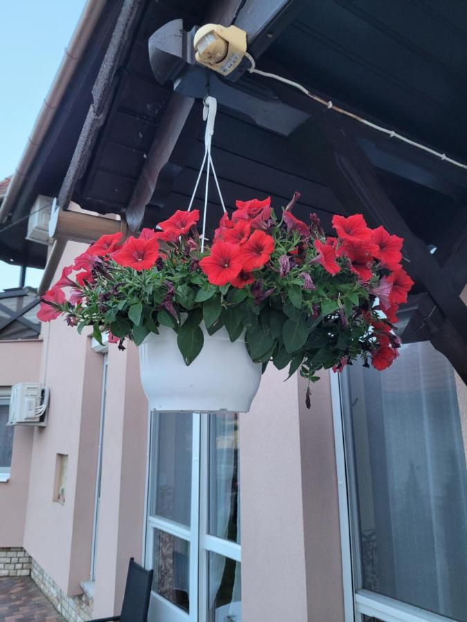Anda vendégház Harkány Extérieur photo