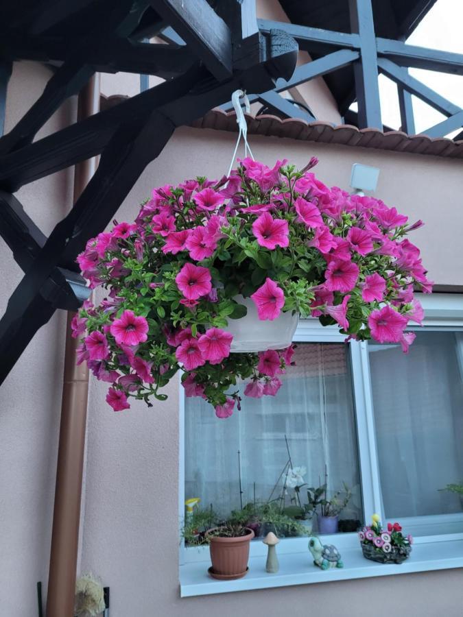 Anda vendégház Harkány Extérieur photo