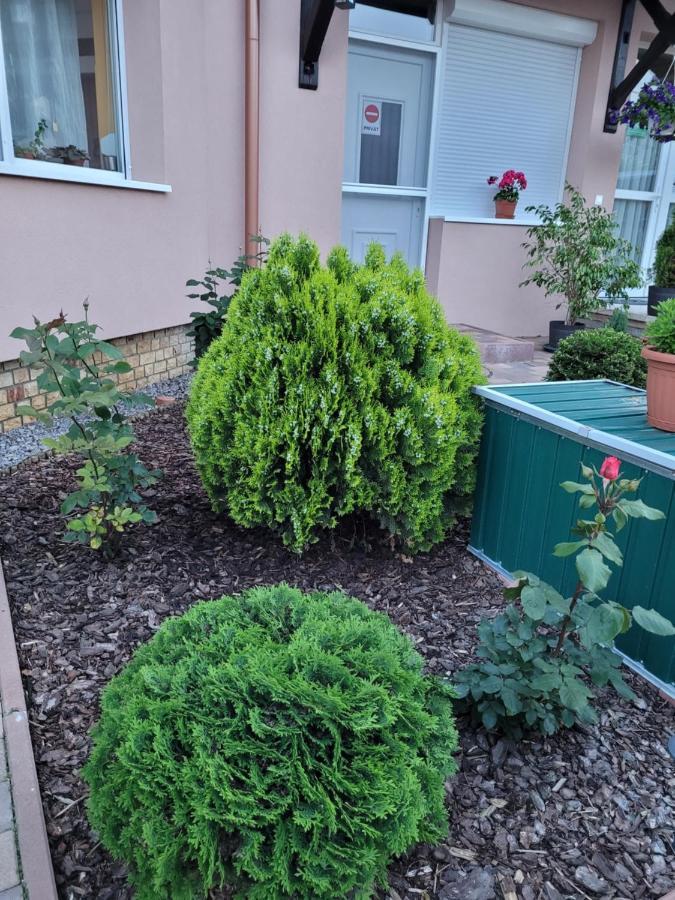 Anda vendégház Harkány Extérieur photo